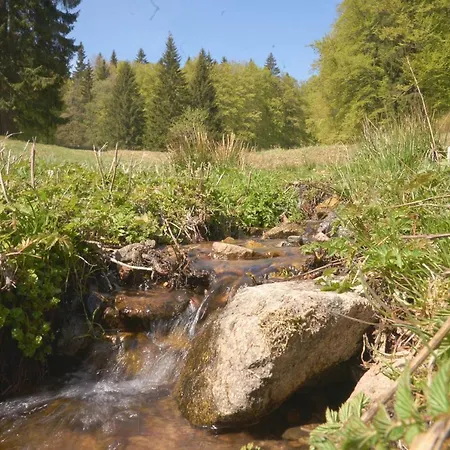 Arnika Im Bergwiese Lägenhet *