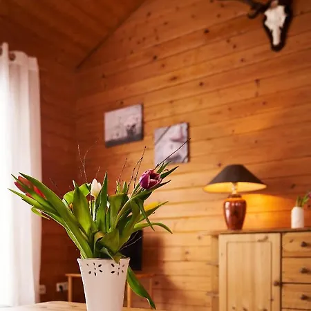 Arnika Im Bergwiese Lägenhet *