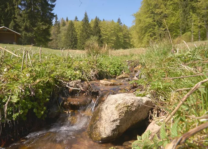 Arnika Im Bergwiese Apartment *