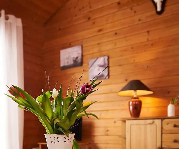 Arnika Im Bergwiese Apartment *