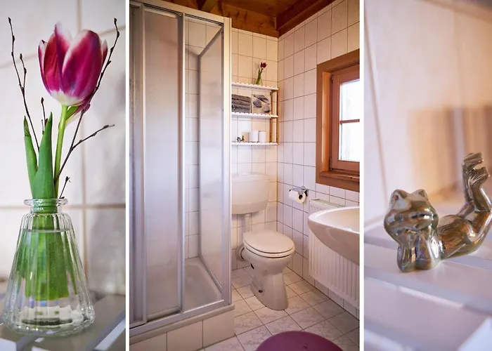 Arnika Im Bergwiese Vesser